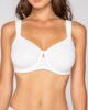 Secret sense 11043 balconette minimizer & 2103  laser cut brazilian ivory detail