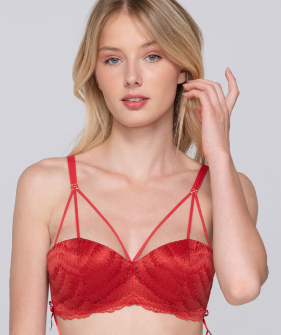 Flirt 14302 3 4 balconette cut & sew & 24301 brief red front close cut