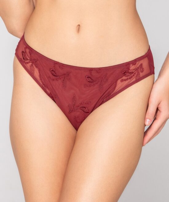 Celebration brazilian brief