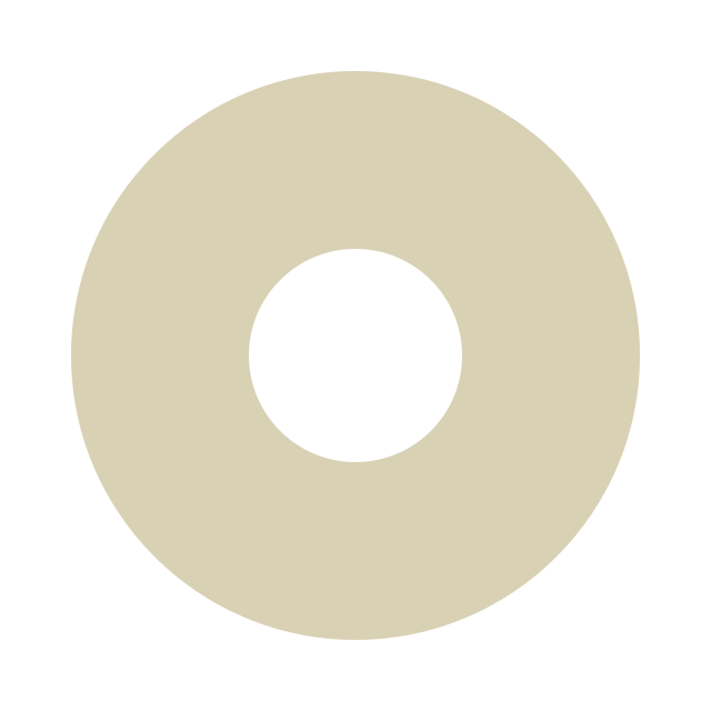 circle dot solid full