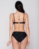 Stellar 94702 balconette with molded cup & 94706 ruched side bottom unique back