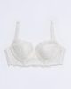 Lilium 15701 bustier ivory still life