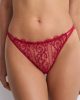 Lilium 25701 brazilian wine red main